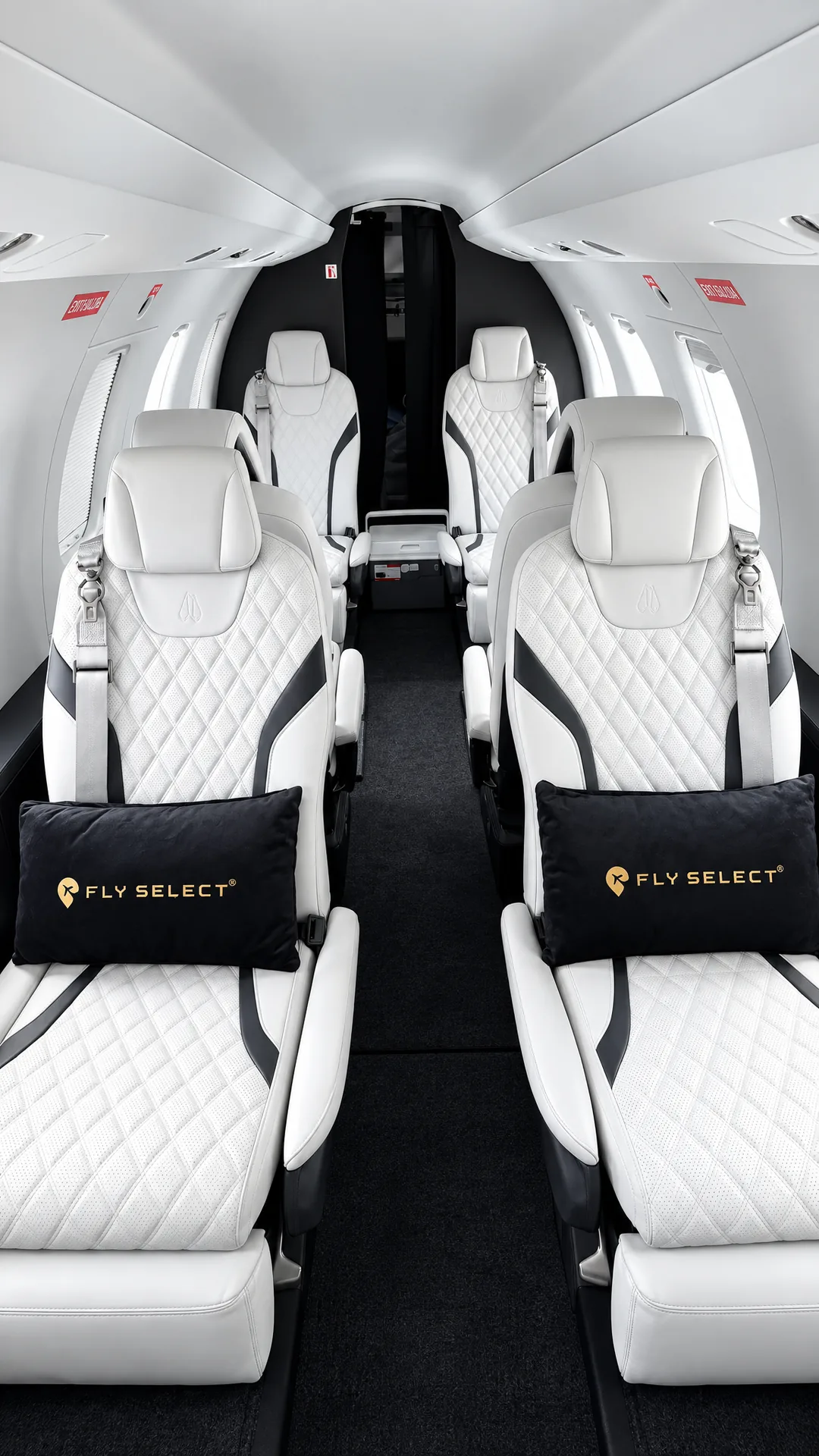 Cabina representativa de Learjet 55